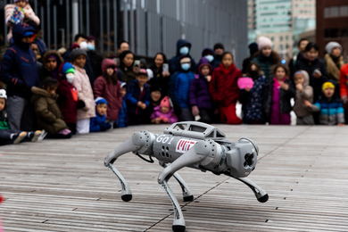 A four legged robot on an outdoor stage with spectators in the background