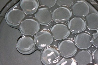 Inside a petri dish are about 20 circular hydrogel discs. They are transparent, shiny, and appear soft.