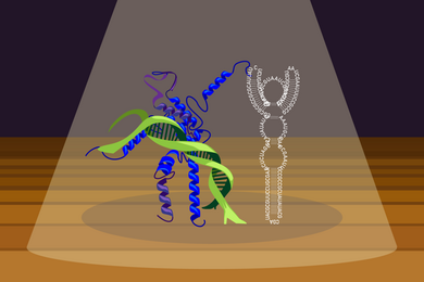 Cartoon illustration of three personified molecules dancing in a spotlight on stage: protein dips DNA and twirls RNA