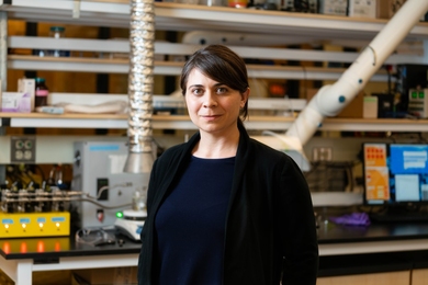 Desirée Plata stands in her lab.
