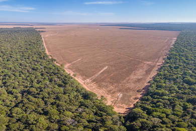 Aerial view of a forest, with a large wedge of deforested, brown dirt.