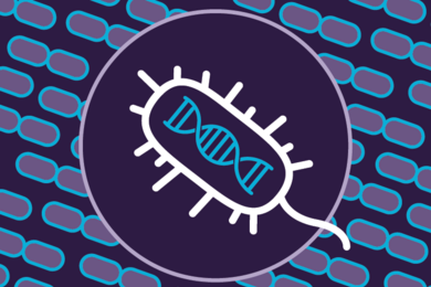 Illustration of bacteria. Among ordered lines of bacteria, a single bacterium is highlighted in a circle, and a DNA strand can be seen within