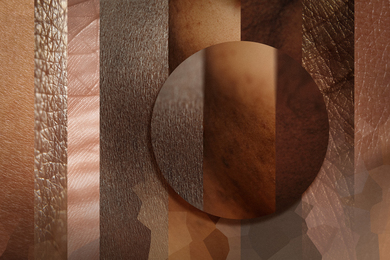 Vertical columns show skin textures with a variety of skin tones, and an inset circle magnifies three columns.