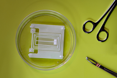 Square spring device in Petri dish, pair of fine point scissors, and pliers sit atop green surface