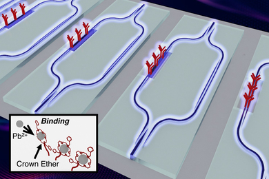 An illustration of the rectangular chip surface showing blue strip waveguides and red Y-shaped slots on the blue strips.