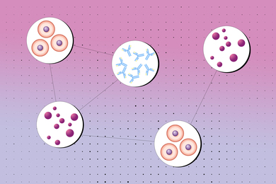 A Markov Field diagram showing connections between cells, cytokines, and antibodies