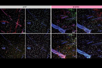 An eight-panel image of expanded brain cells as seen under a microscope. They look like colored dots and smears on a black background..