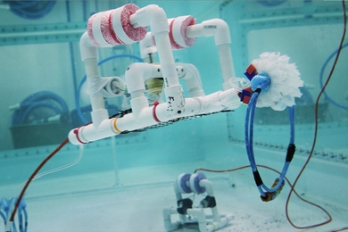 A underwater device made of PVC pipe with a gripper module maneuvers in a 3,000-gallon water tank.
