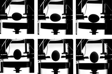 Two by three grid of greyscale images of an egg in a machine. In the top three, the eggs are positioned horizontally; in the bottom three, vertically.