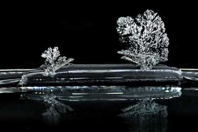 A grayscale image taken using in situ X-ray microscopy showing a small salt crystal on the left and a larger one on the right, both emerging from a pool of liquid