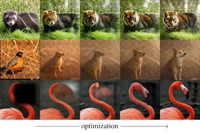 Matrix of images showing transformations (e.g., a panda to a tiger, a bird to a dog)