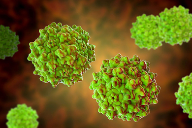 3D rendering of several spherical viruses on a dark background