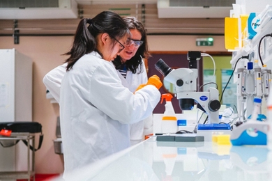 Two women in white lab coats stand at a lab bench with a microscope, examining something the camera can’t see