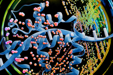 A DNA strand floats above a petri dish with yeast mold.
