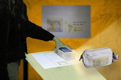 Photo illustration of a woman placing a brick-sized object over white tiles on a table. Behind her is a whiteboard with "Scarlet Macaw Range Map" and floating in the foreground is a pocketbook with flowers printed on
