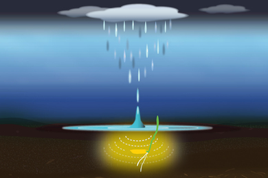 Rain fall causes a puddle and noise on the ground, represented by yellow light surrounding a seed. The seed starts to grow.