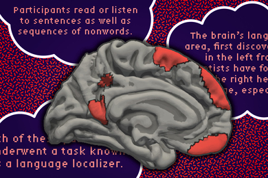 A brain has the medial cortex highlighted in red. The background has sentences from the article like, “participants read or listen to sentences as well as sequences of nonwords.”