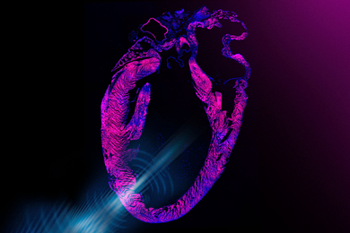 Stylized cross section of a human heart against a black background, with a blue light beam representing ultrasound