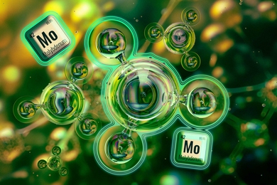 Round molecules and molybdenum icon from Periodic table labeled “42.”