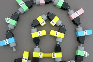 Closeup of about 15 small building blocks connected and arranged in concentric circles