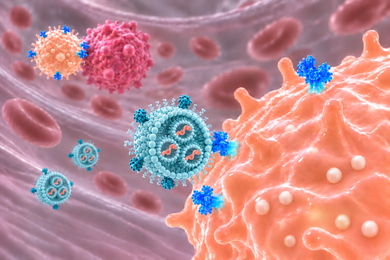 Targeted lipid nanoparticles delivering mRNA to NK cells inside the body